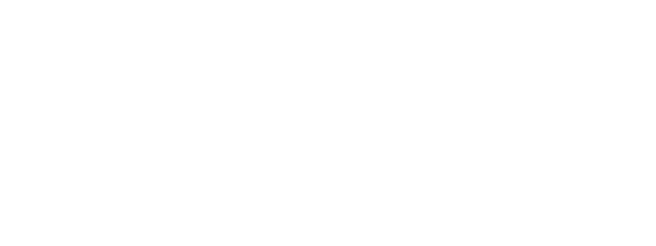 ALINS LOGO